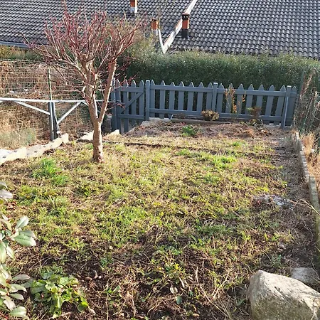 Tiny Torbiera Val di Chy