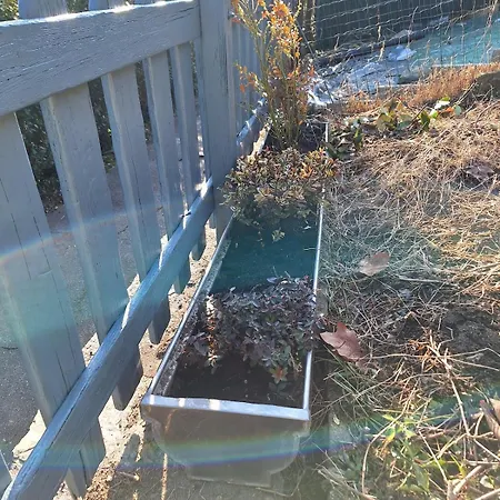 Σπίτι διακοπών Tiny Torbiera Val di Chy